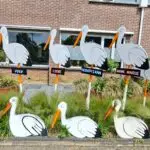 Voldoende ooievaars op voorraad!